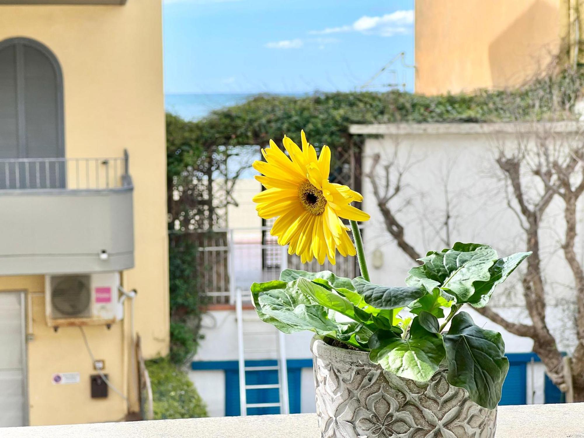 Mono Rosina, Aria Condizionata E Balcone A Soli 50 Metri Dal Mare! By Alfareal Castiglione della Pescaia Exteriör bild